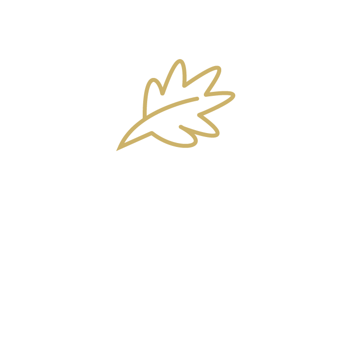 Vanessa Collins Associates